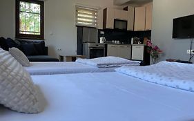 Apartman Ami